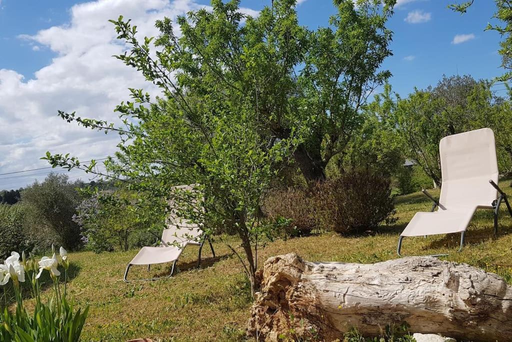 Podere Del Gelso Bianco, Vacation Rental Остуни Экстерьер фото