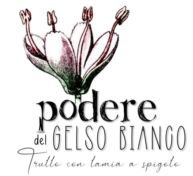 Podere Del Gelso Bianco, Vacation Rental Остуни Экстерьер фото